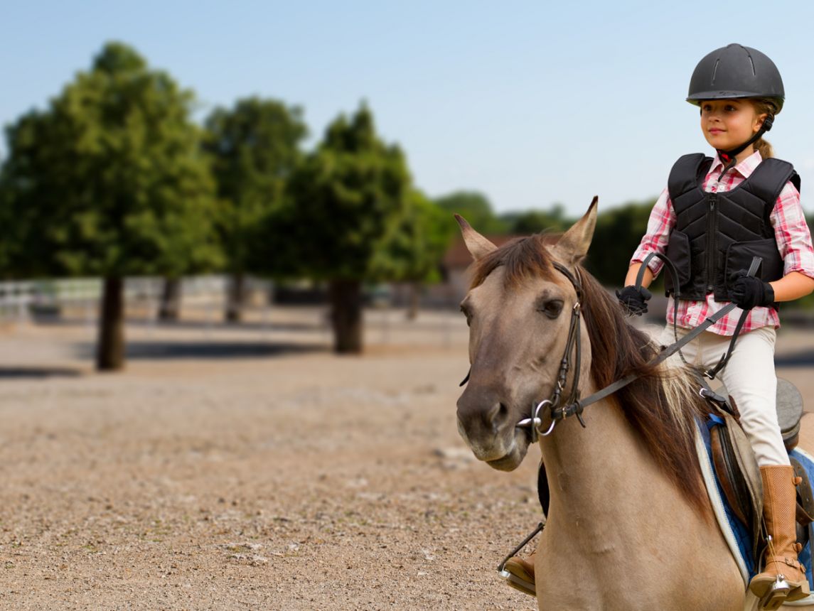 Horse first riding lesson what to wear rare photo Horse first riding lesson what to wear exclusive photo